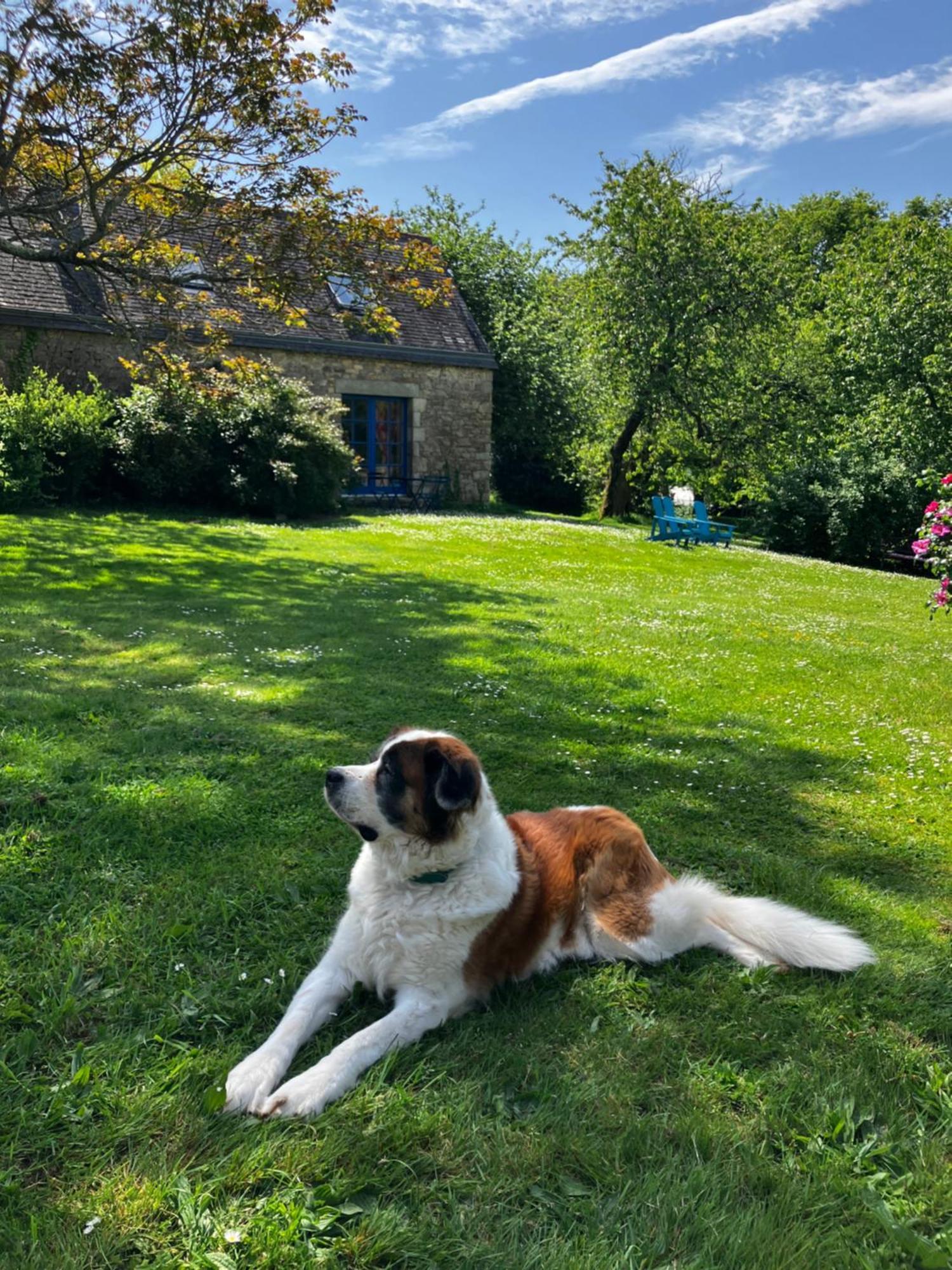 Bono Ar Couette B&B 외부 사진